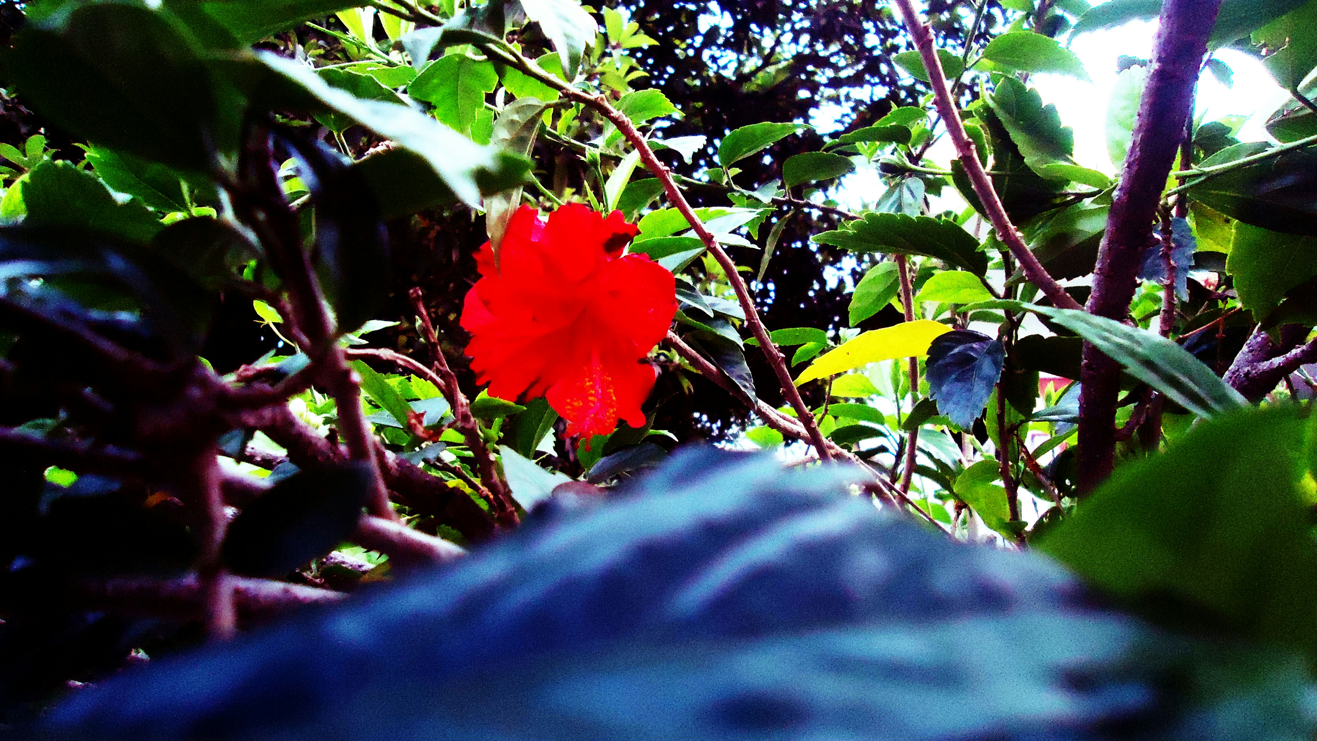 Free Unsplash photo from JandJ PhotoGraphics