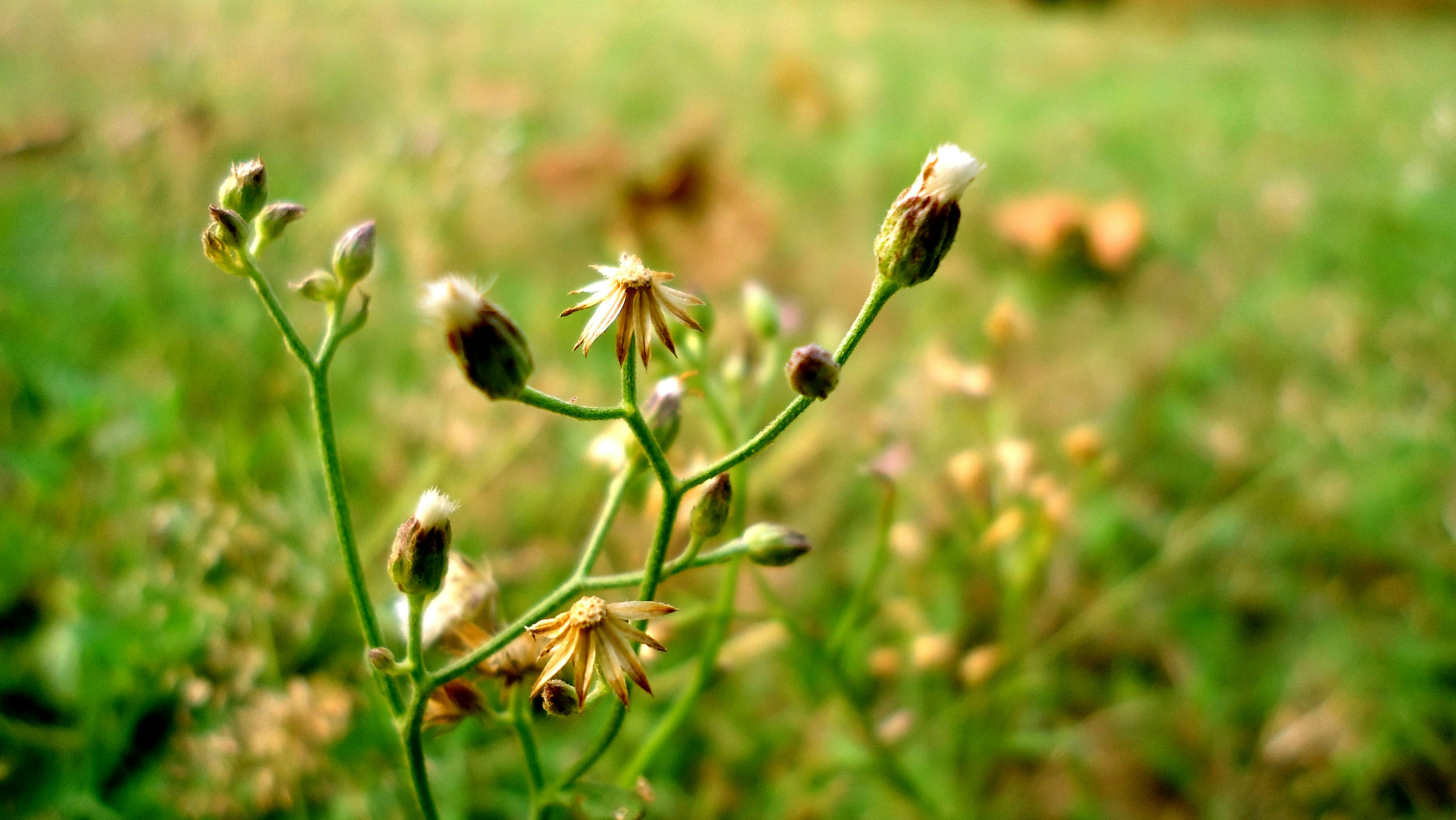 Free Unsplash photo from JandJ PhotoGraphics