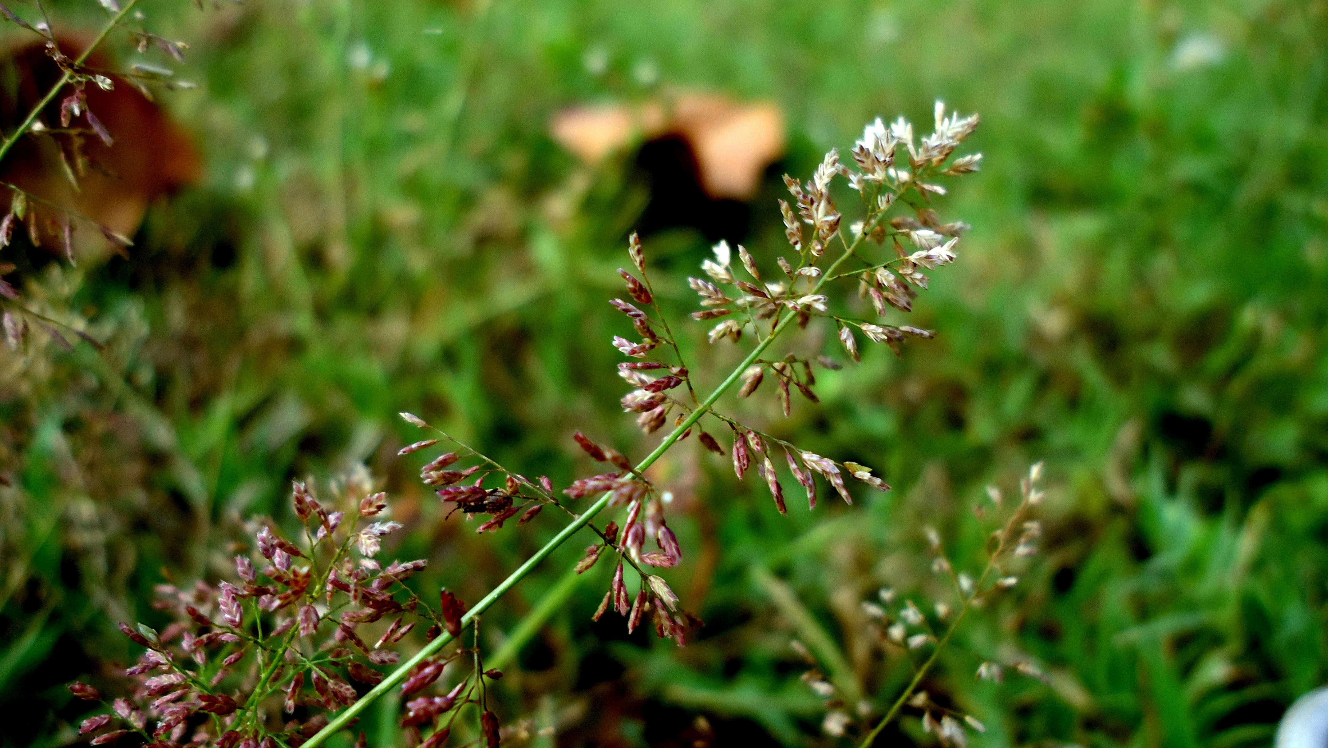 Free Unsplash photo from JandJ PhotoGraphics