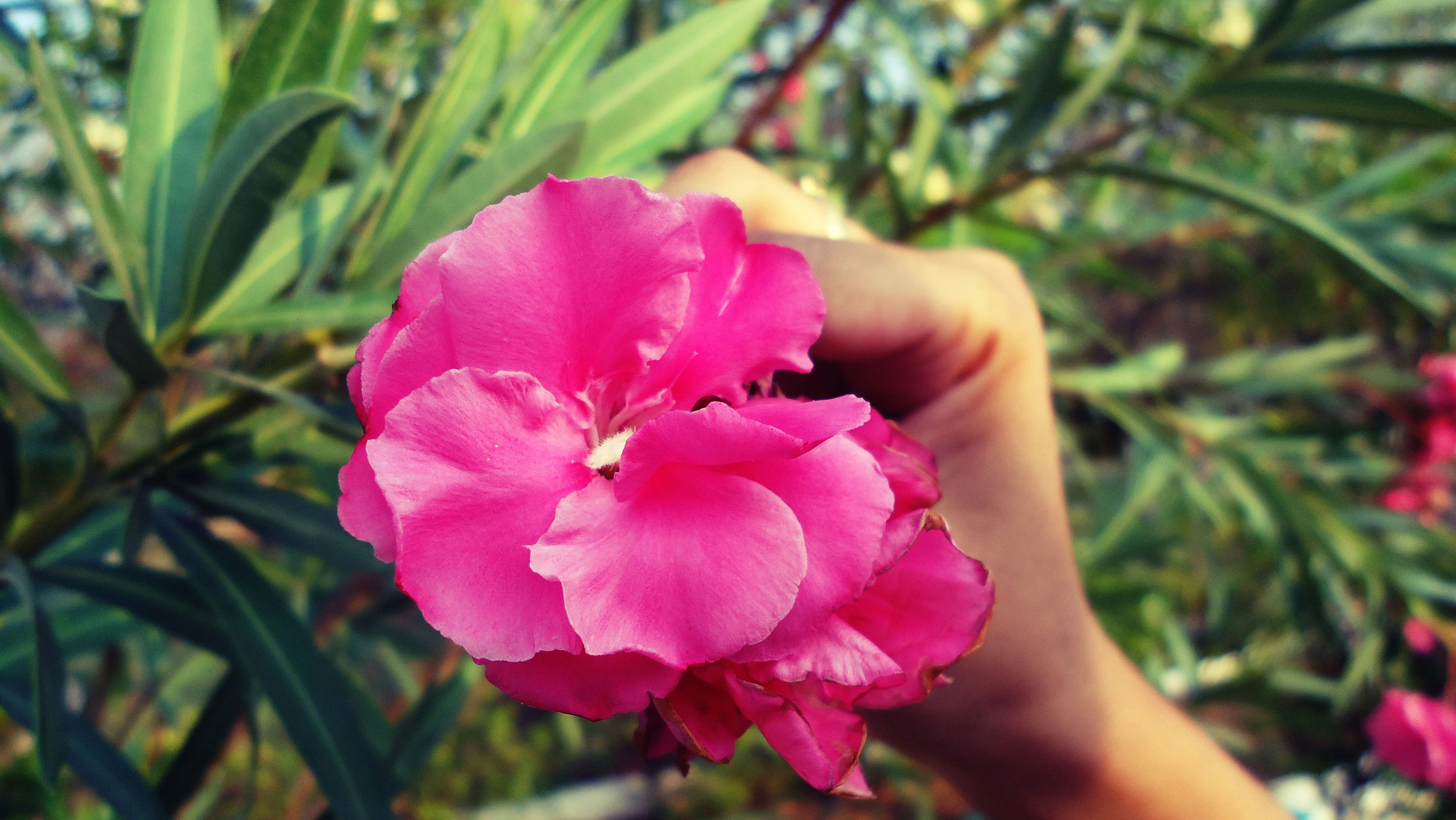 Free Unsplash photo from JandJ PhotoGraphics