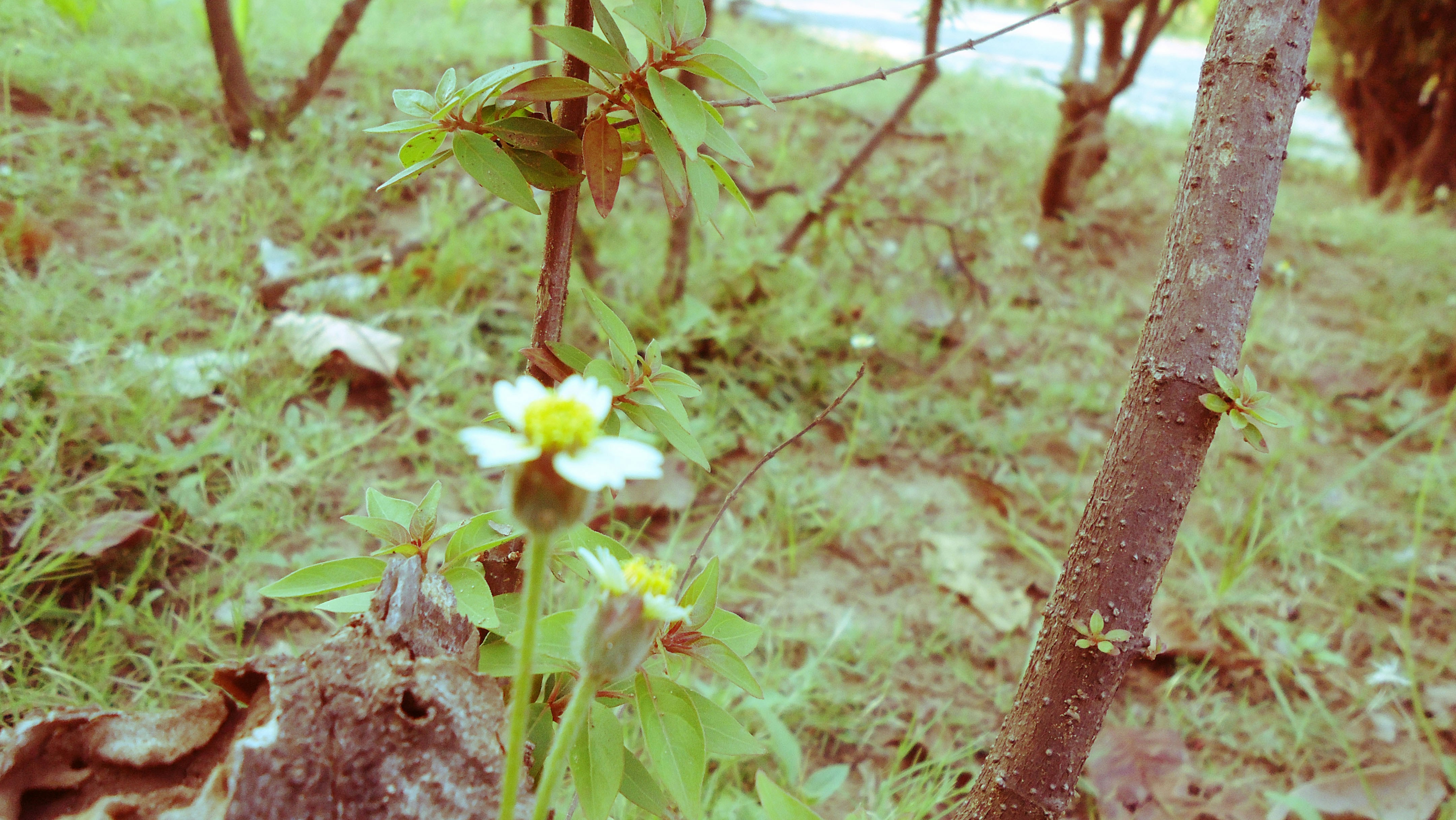 Free Unsplash photo from JandJ PhotoGraphics