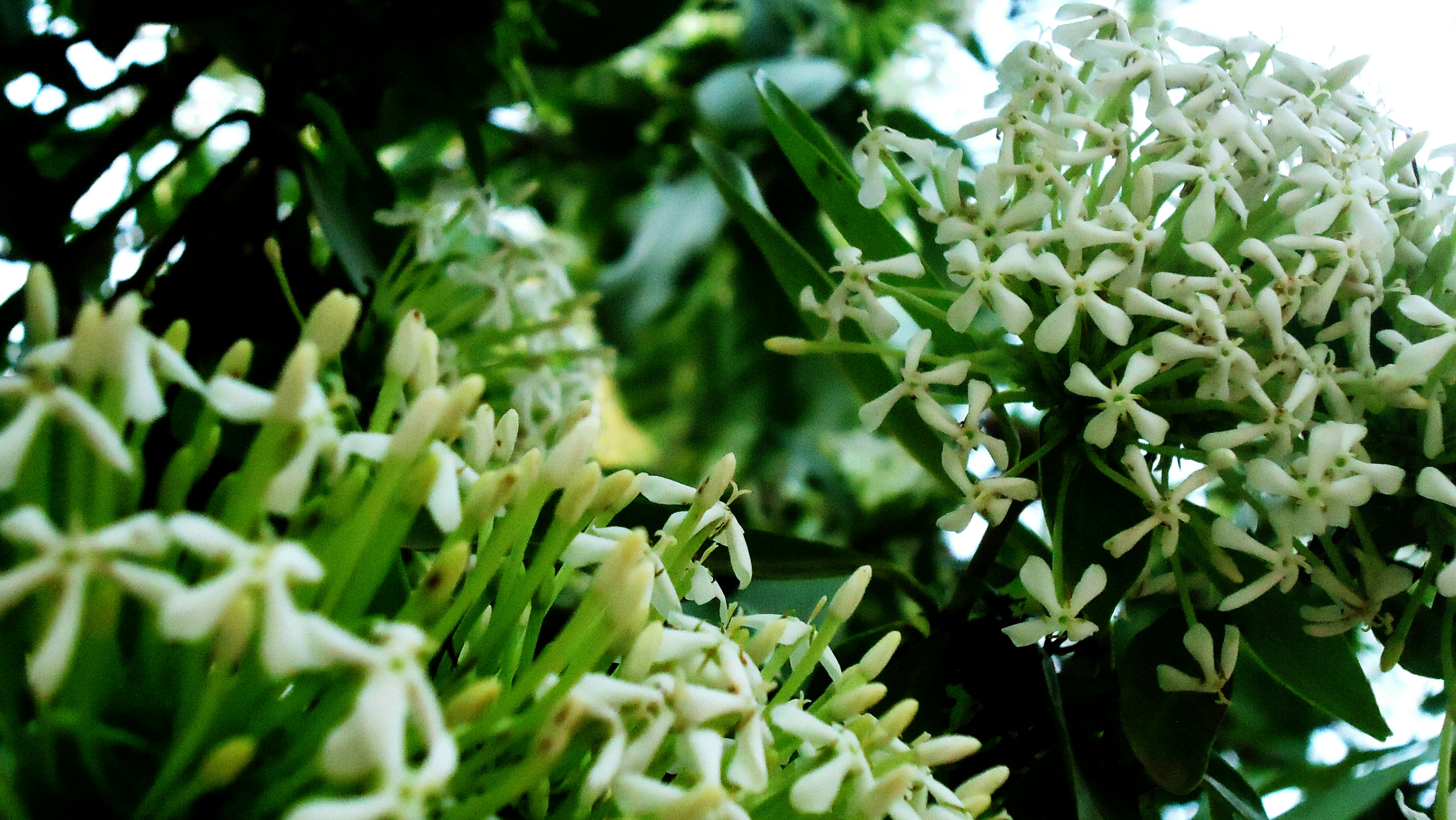 Free Unsplash photo from JandJ PhotoGraphics