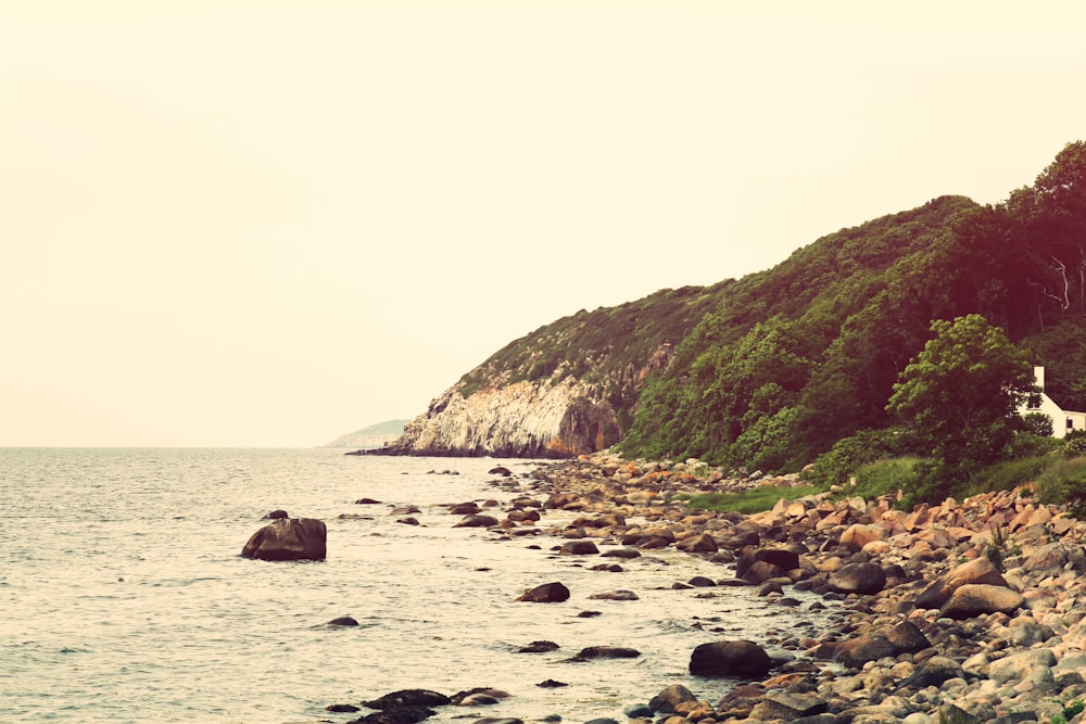 seashore with rocks