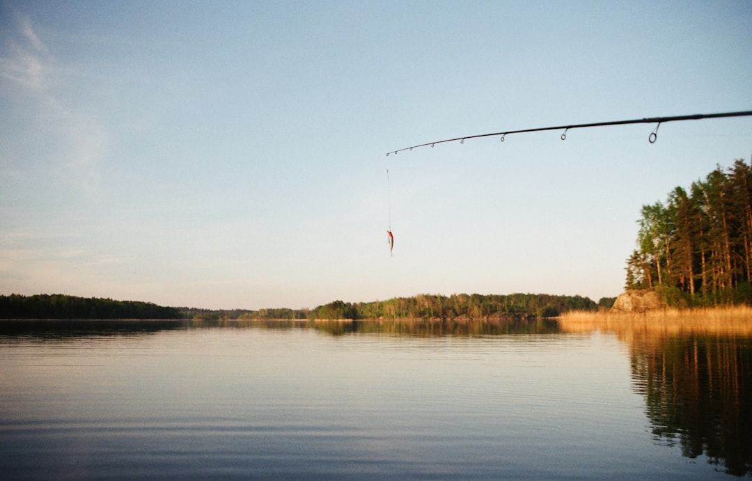 photography of body of water, Good catch
