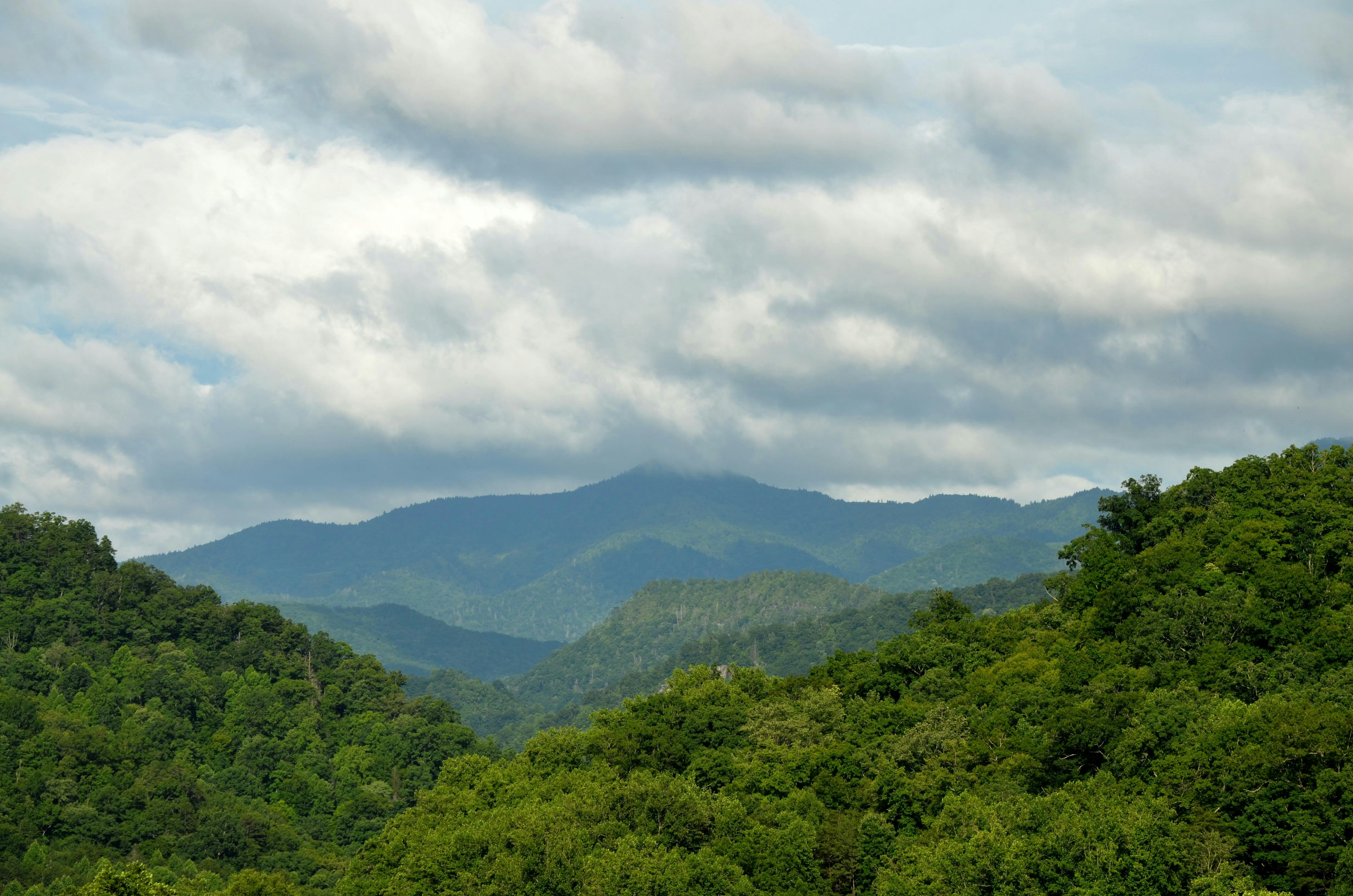 Free Unsplash photo from Dana Cline