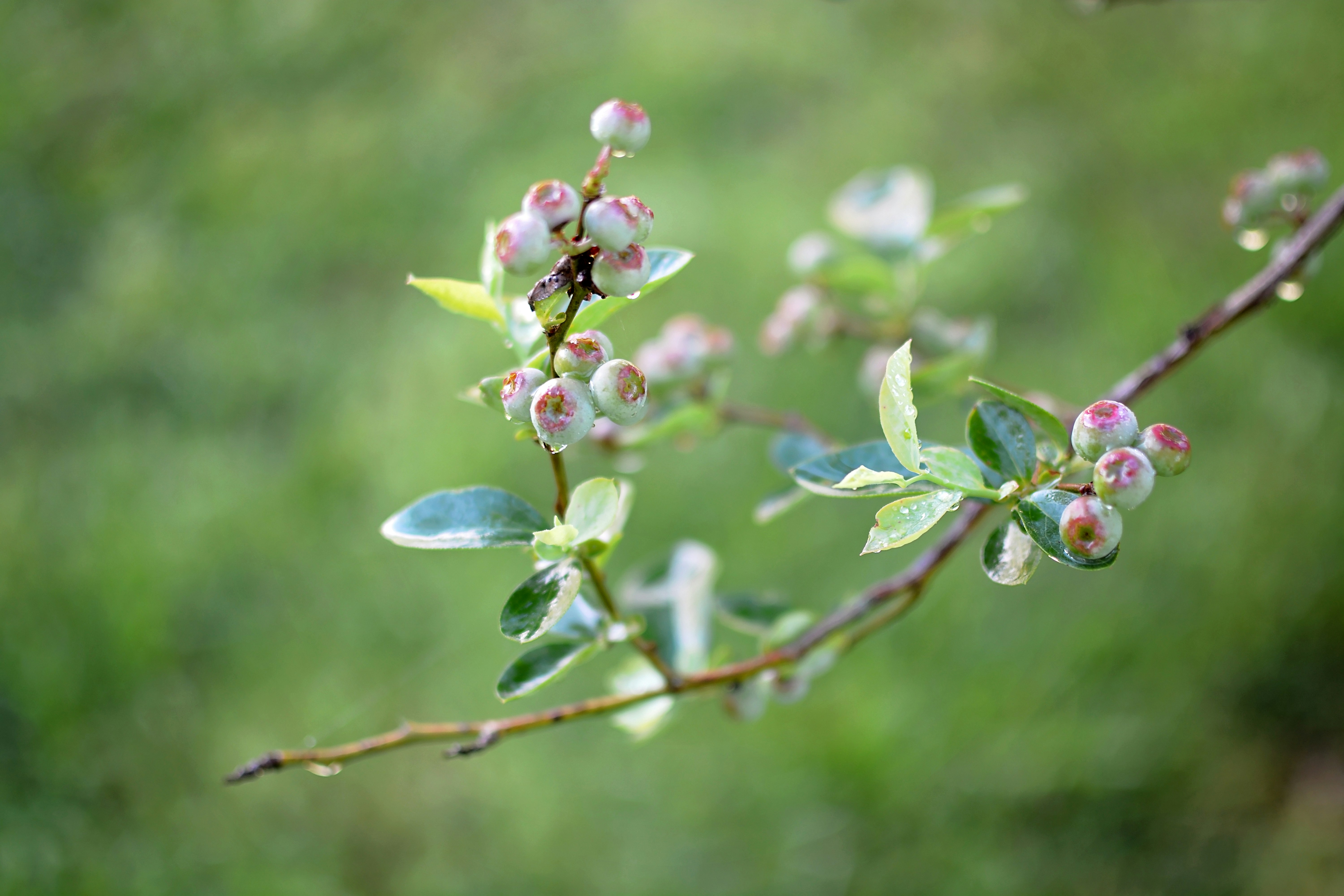 Free Unsplash photo from Amy Stout