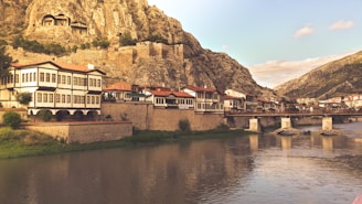 buildings and houses near body of water