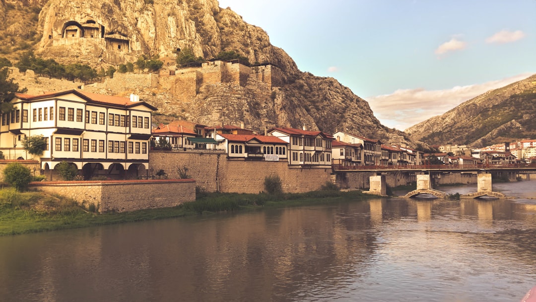 buildings and houses near body of water