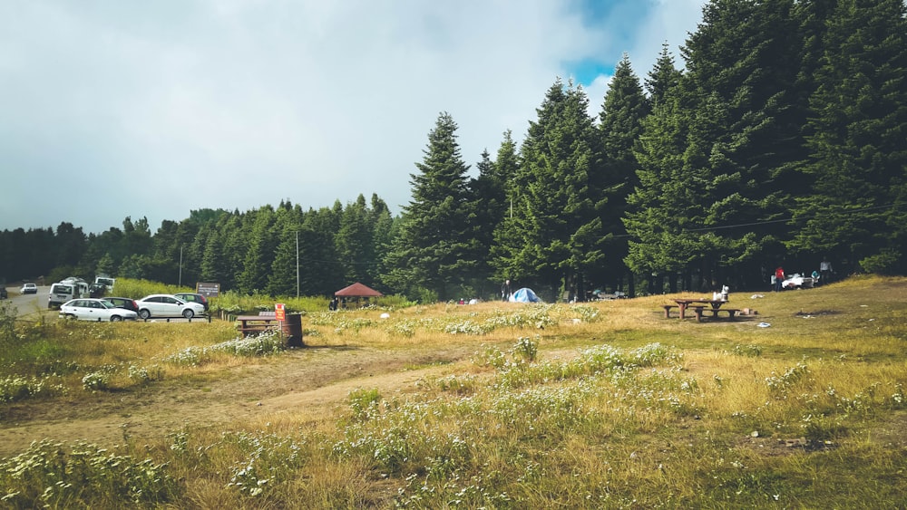 a group of people camping in a field next to a forest