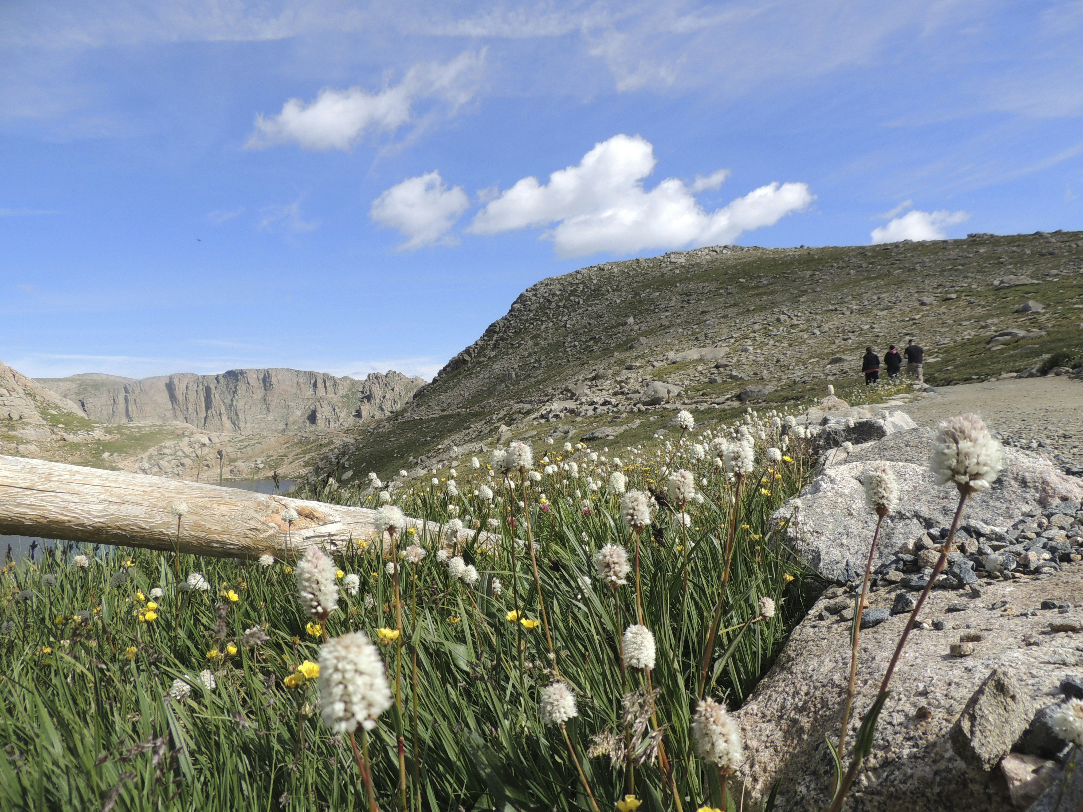 Free Unsplash photo from Nathan Massafra