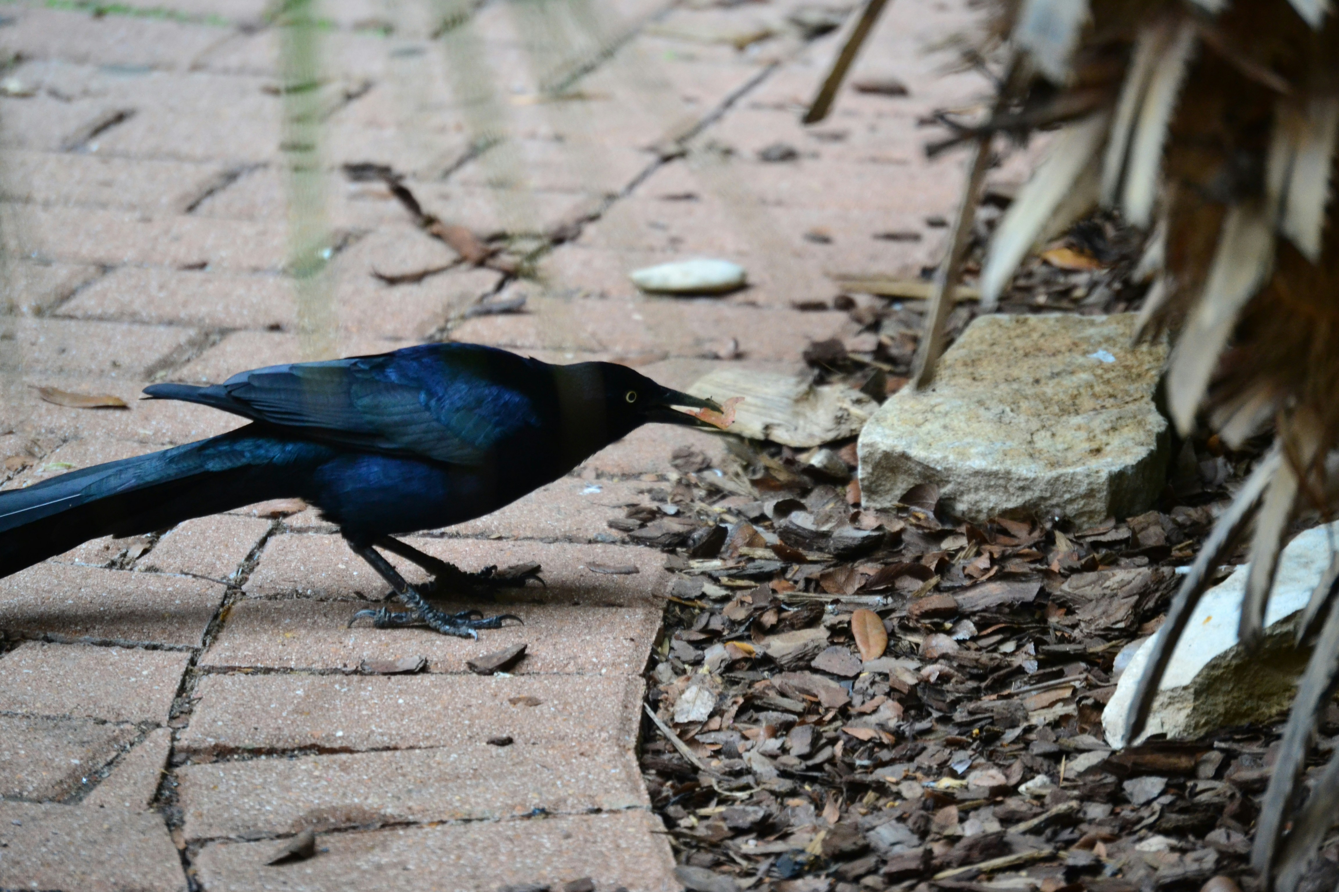 Free Unsplash photo from Sophia Nicholas