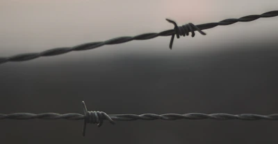 Illustration of barbed wire blending into high-contrast pink and black textures.