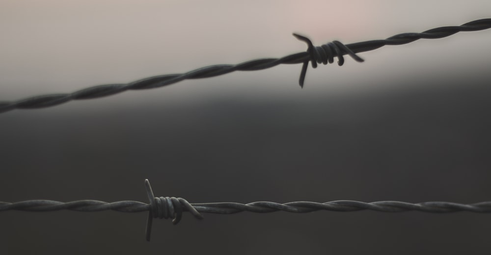focus photo of gray barb wire