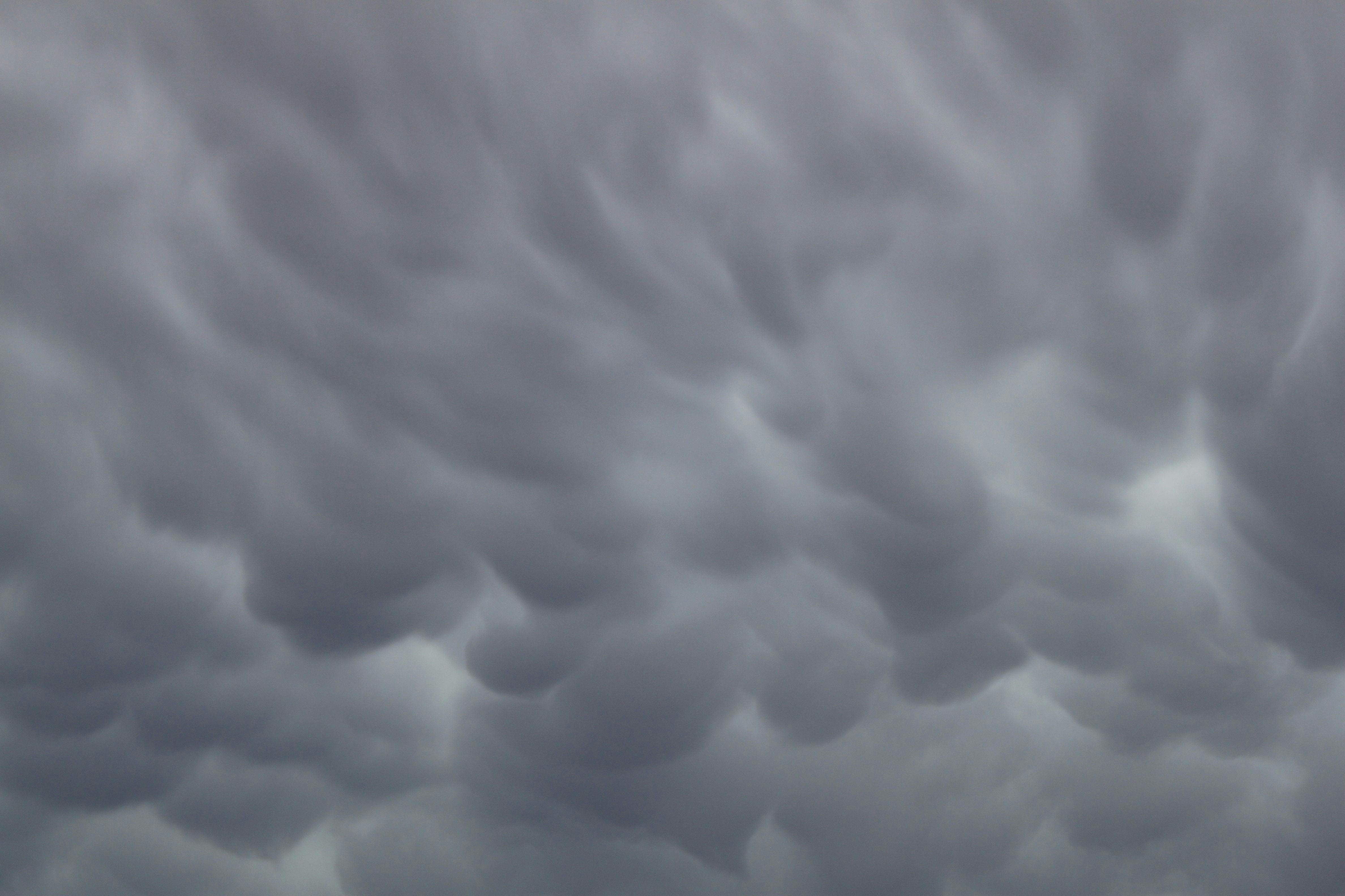 Free Unsplash photo from Lori Hoeck