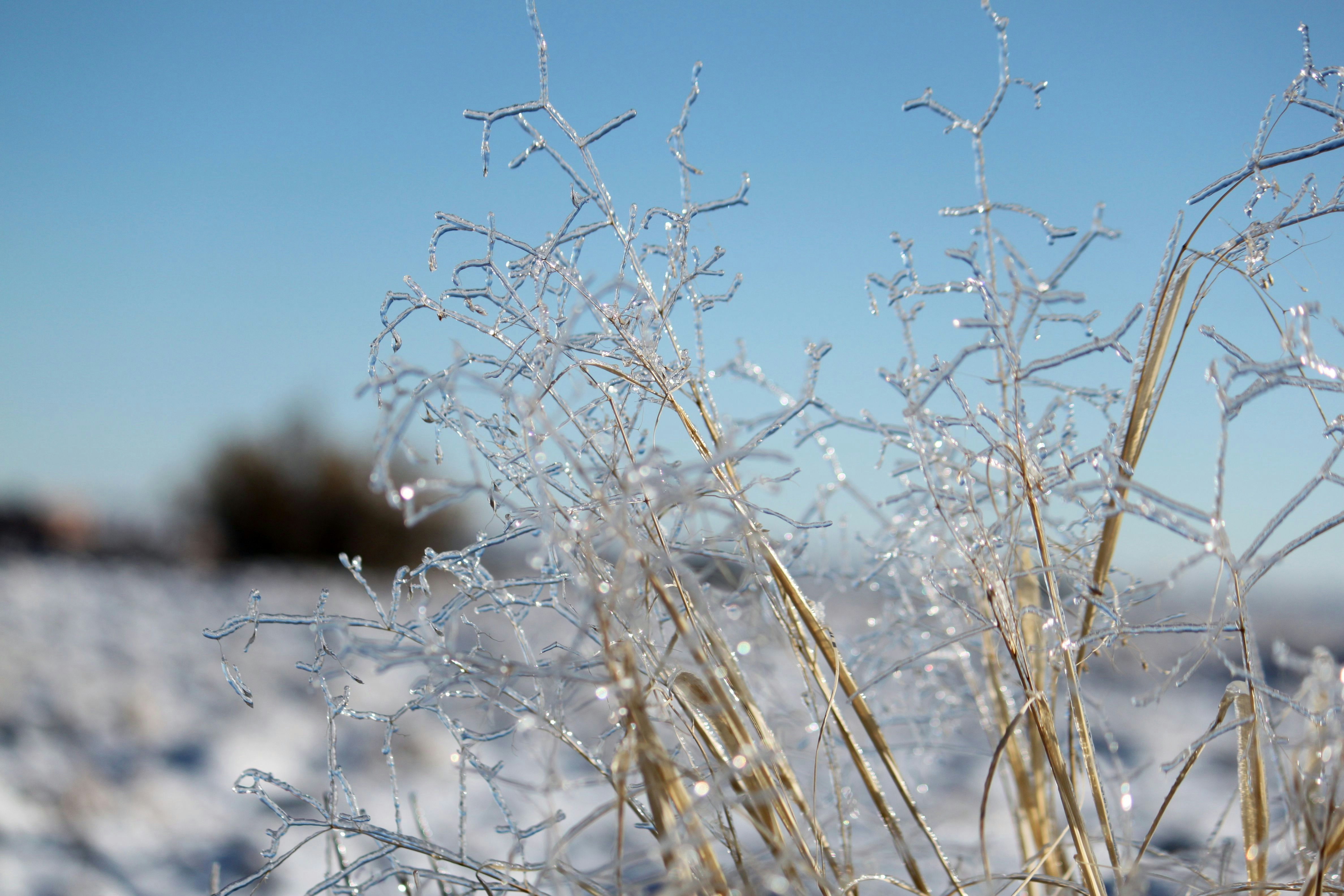 Free Unsplash photo from Lori Hoeck