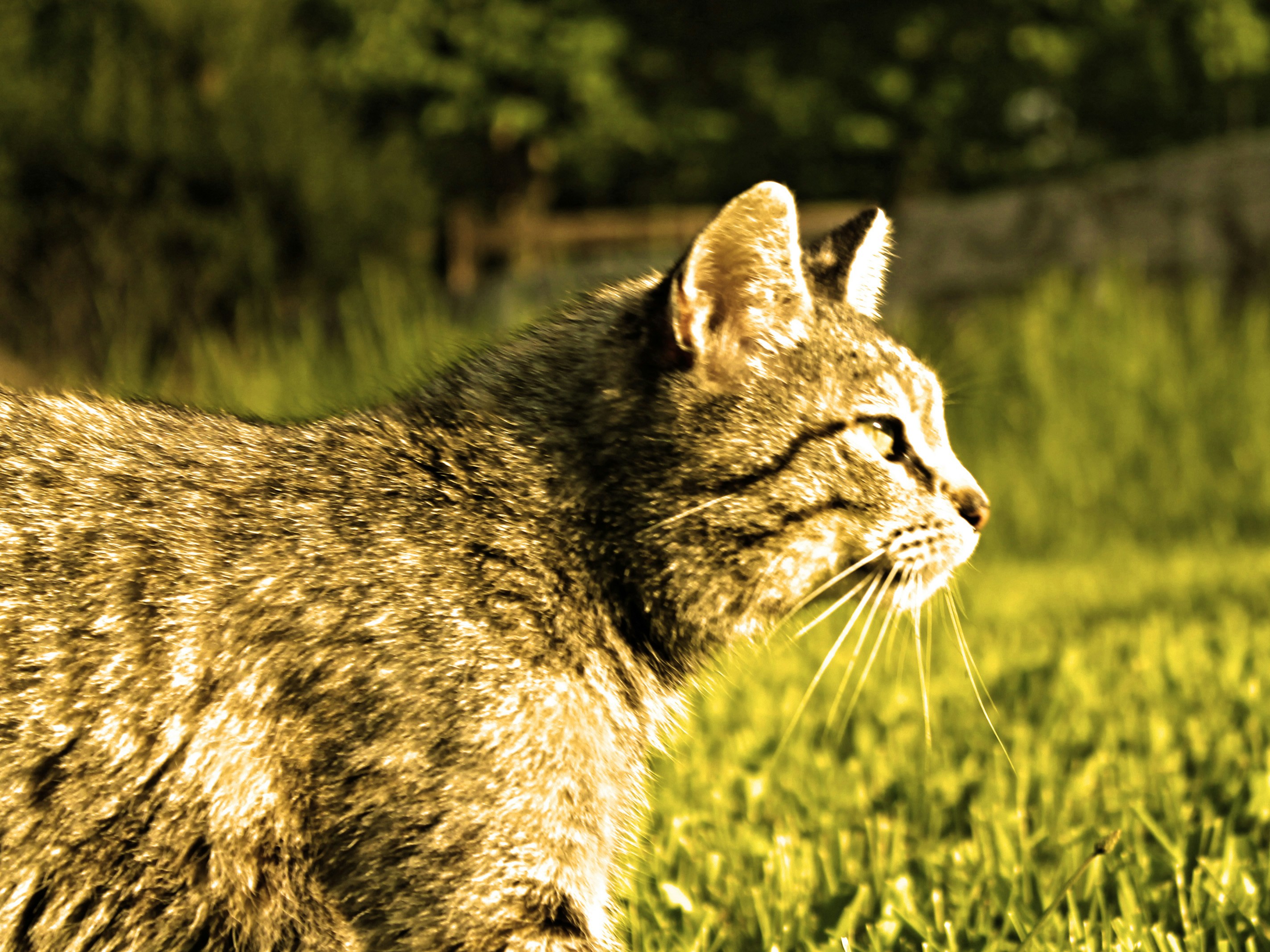 Free Unsplash photo from Rebecca Brent