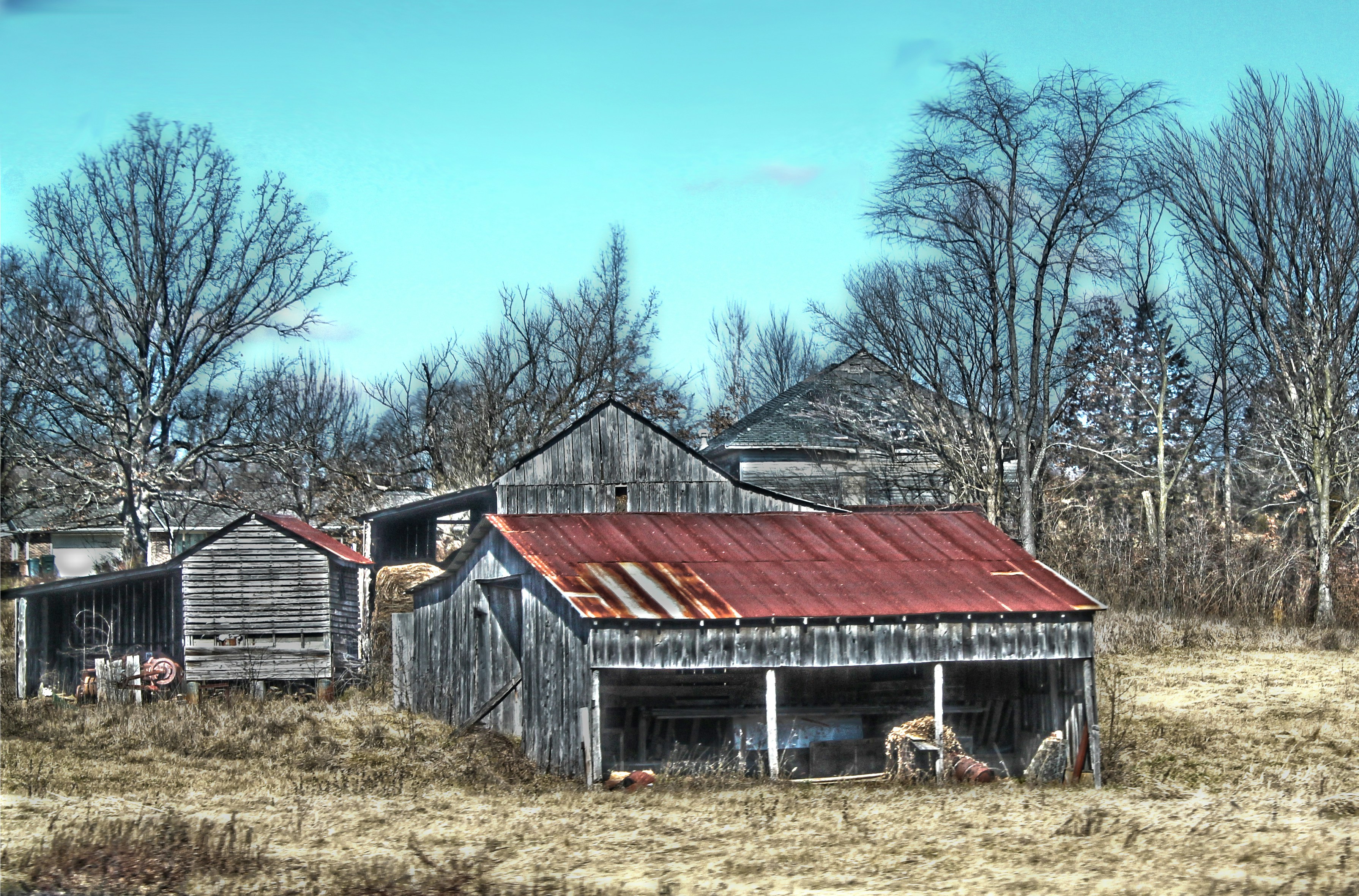 Free Unsplash photo from Rebecca Brent