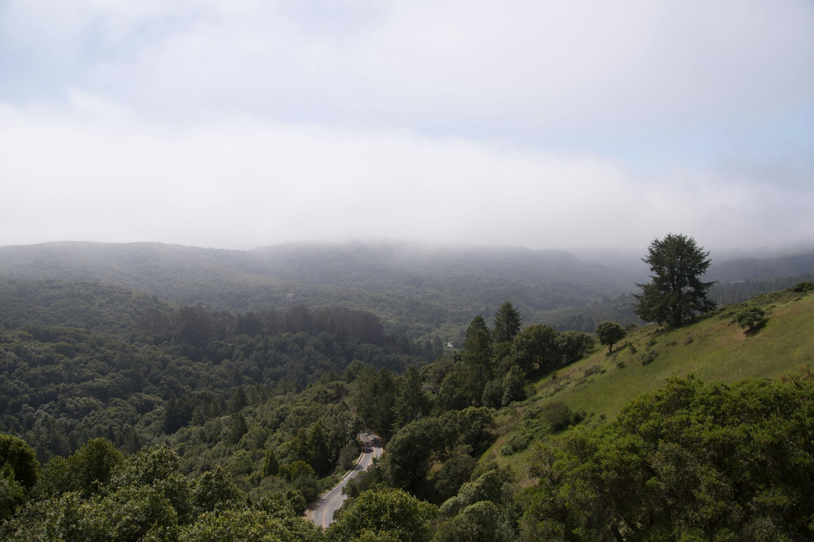 Misty green hinterland valley at morning — Sunshine Coast atmosphere