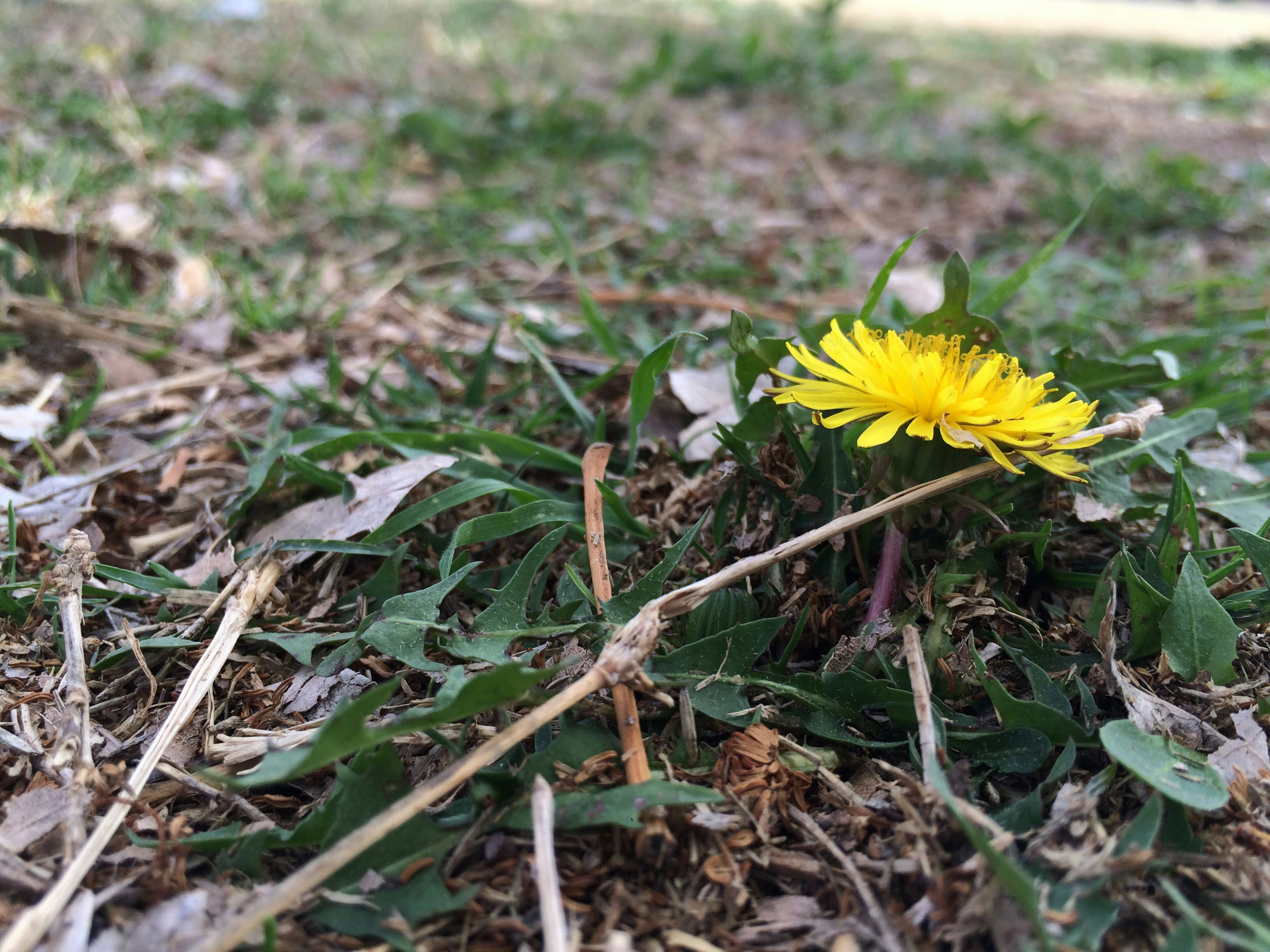 Free Unsplash photo from MaKenna Costarella