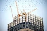 low angle photography of cranes on top of building