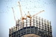 low angle photography of cranes on top of building
