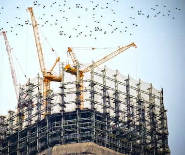 low angle photography of cranes on top of building