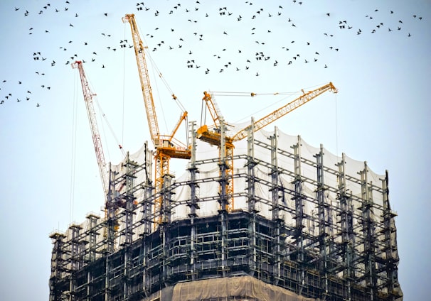 low angle photography of cranes on top of building