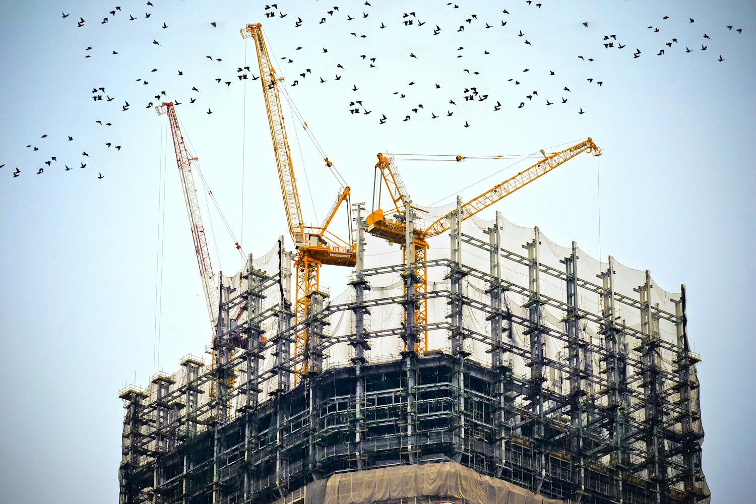 Residential Construction Services