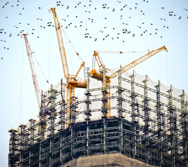 low angle photography of cranes on top of building