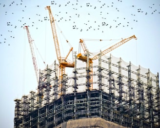 low angle photography of cranes on top of building