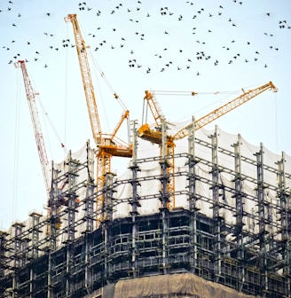 low angle photography of cranes on top of building