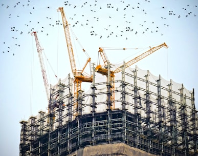 low angle photography of cranes on top of building