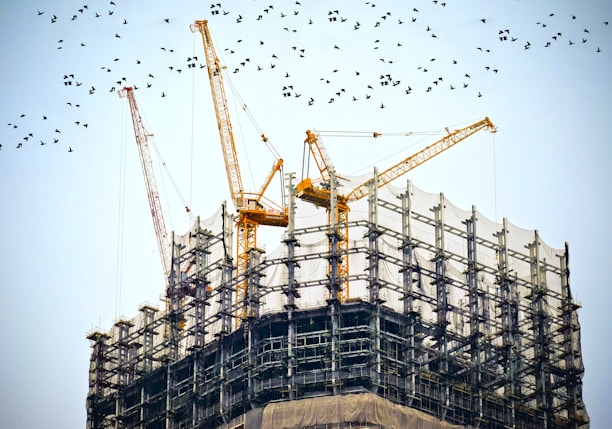 low angle photography of cranes on top of building