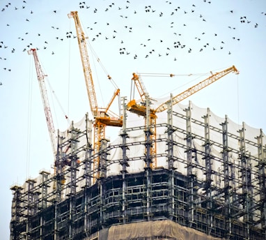 low angle photography of cranes on top of building