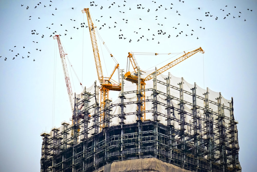 Fotografía de ángulo bajo de grúas en la parte superior de un edificio