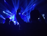group of people standing inside dome watching concert
