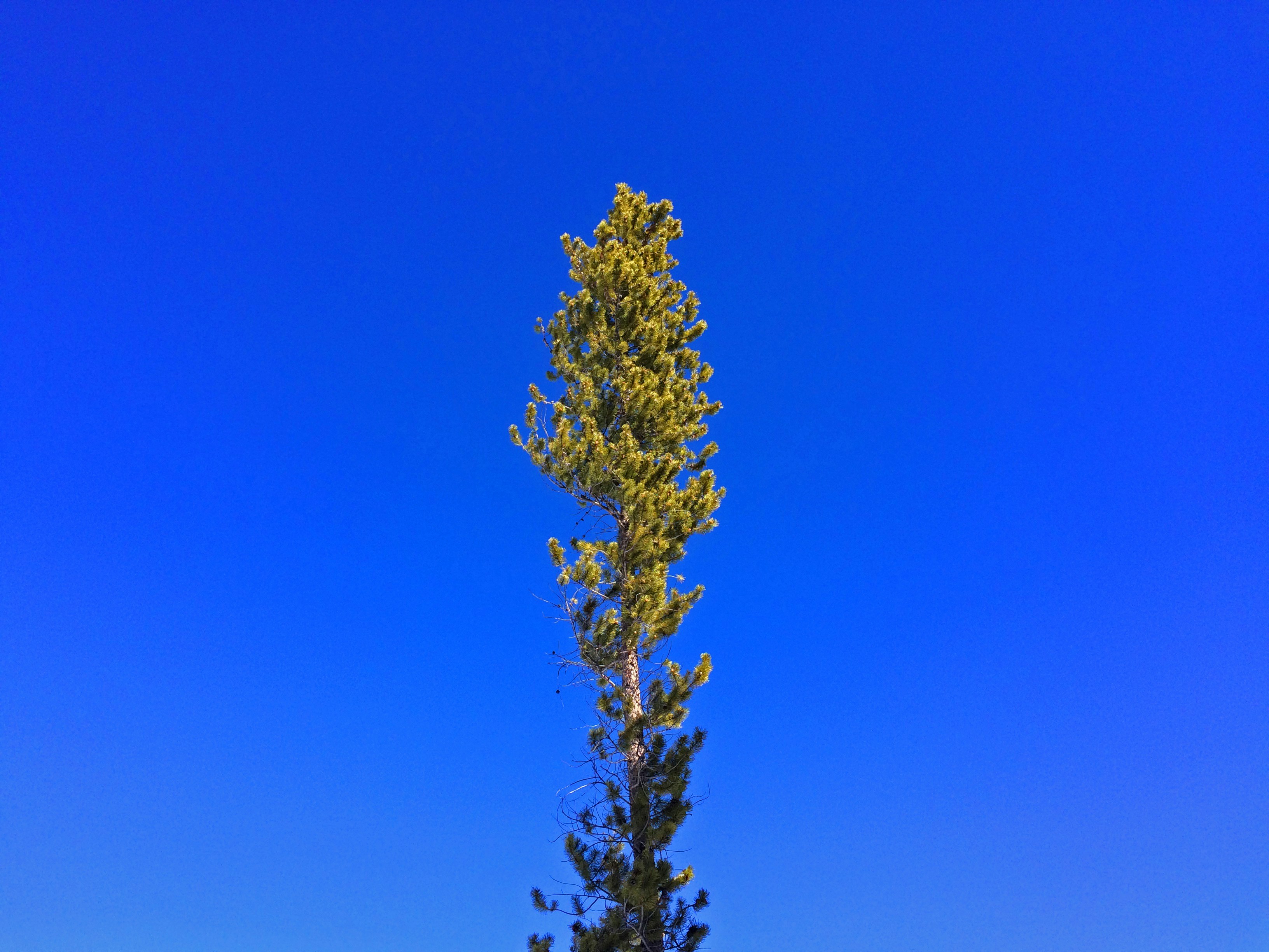 Free Unsplash photo from Nick Scheske