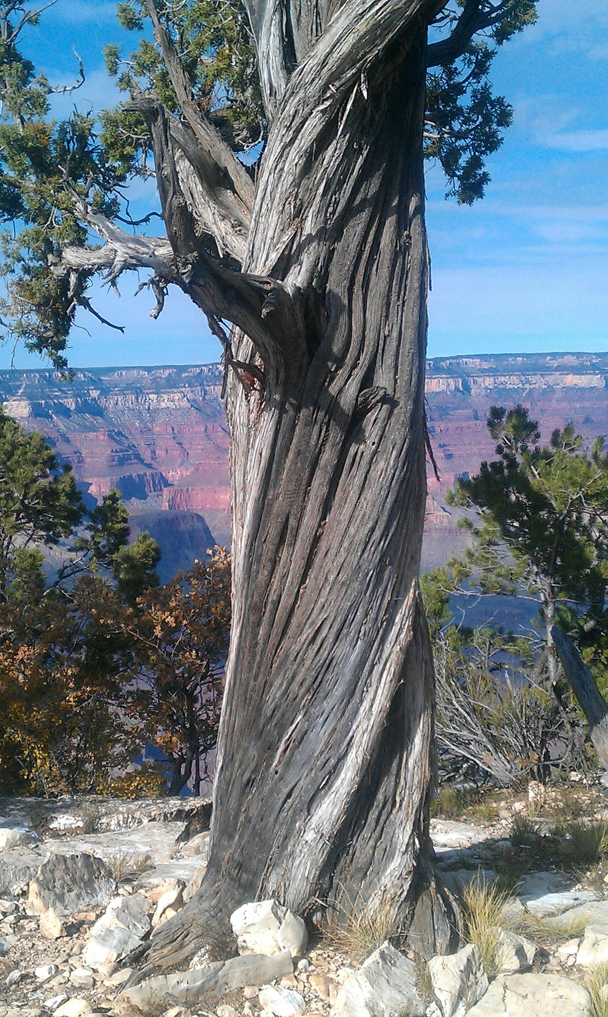 Free Unsplash photo from Jim Leach