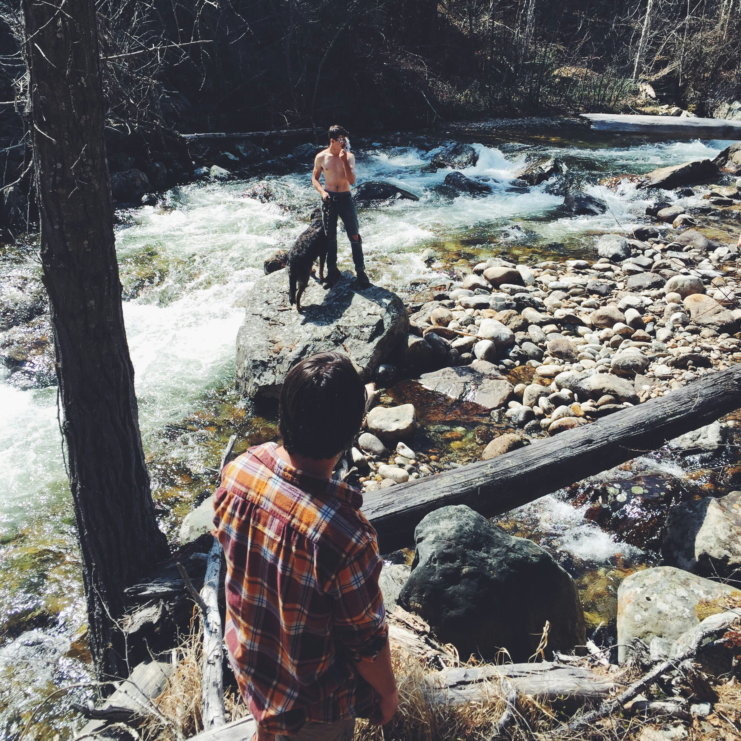 Free Unsplash photo from Lisa Hallahan