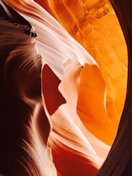 low angle view of antelope