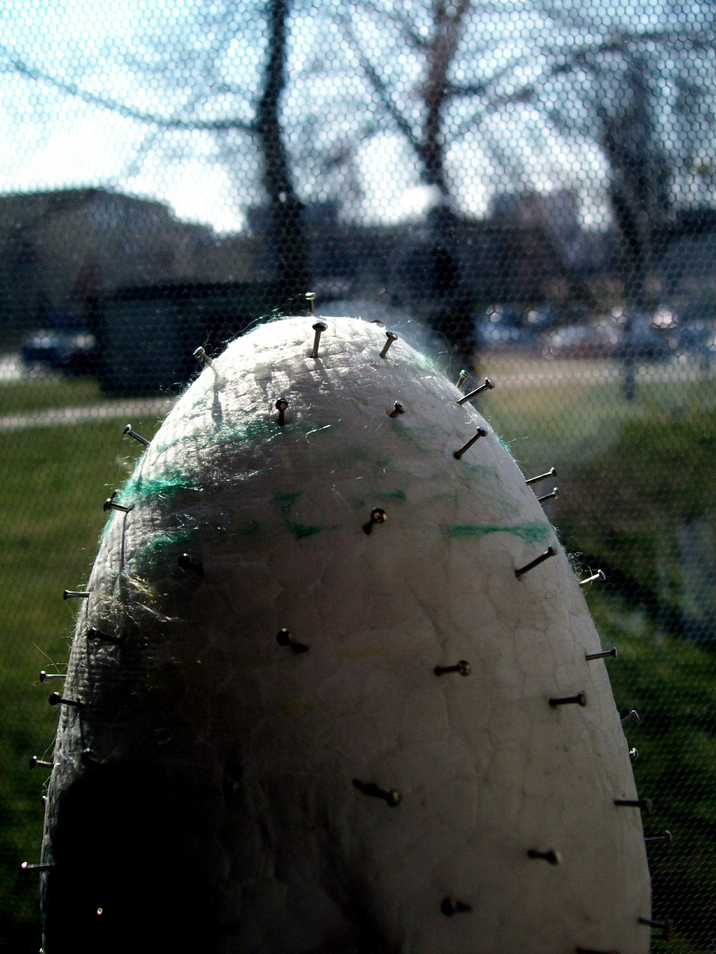 Free Unsplash photo from Natalia Nowocień