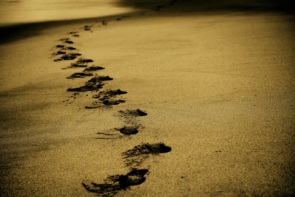 close-up photography of brown sand