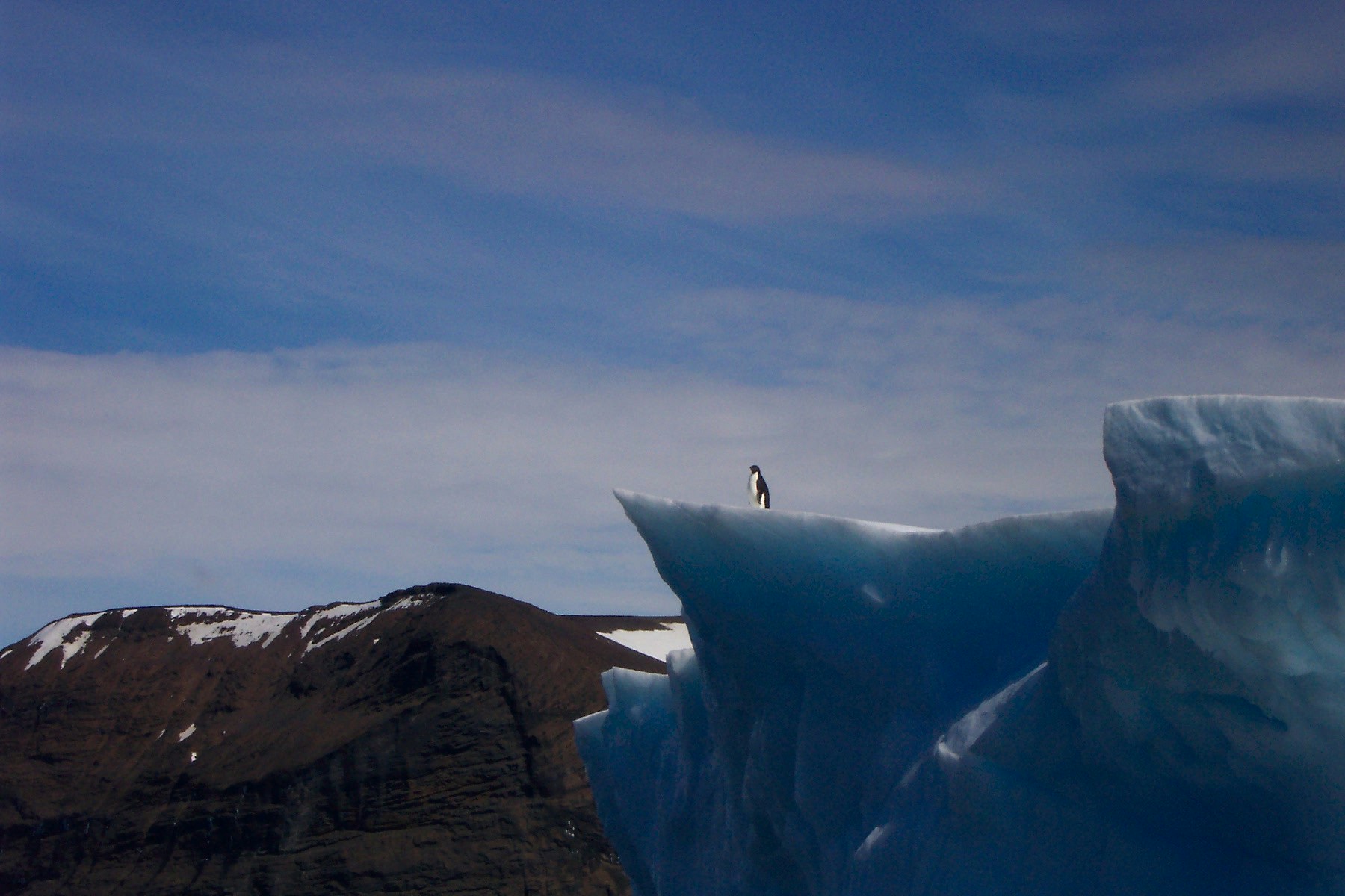 Free Unsplash photo from Michelle Sterling