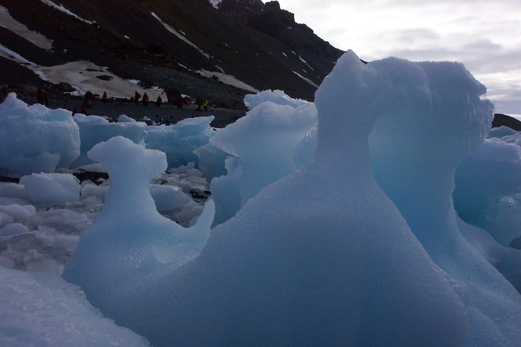 Free Unsplash photo from Michelle Sterling