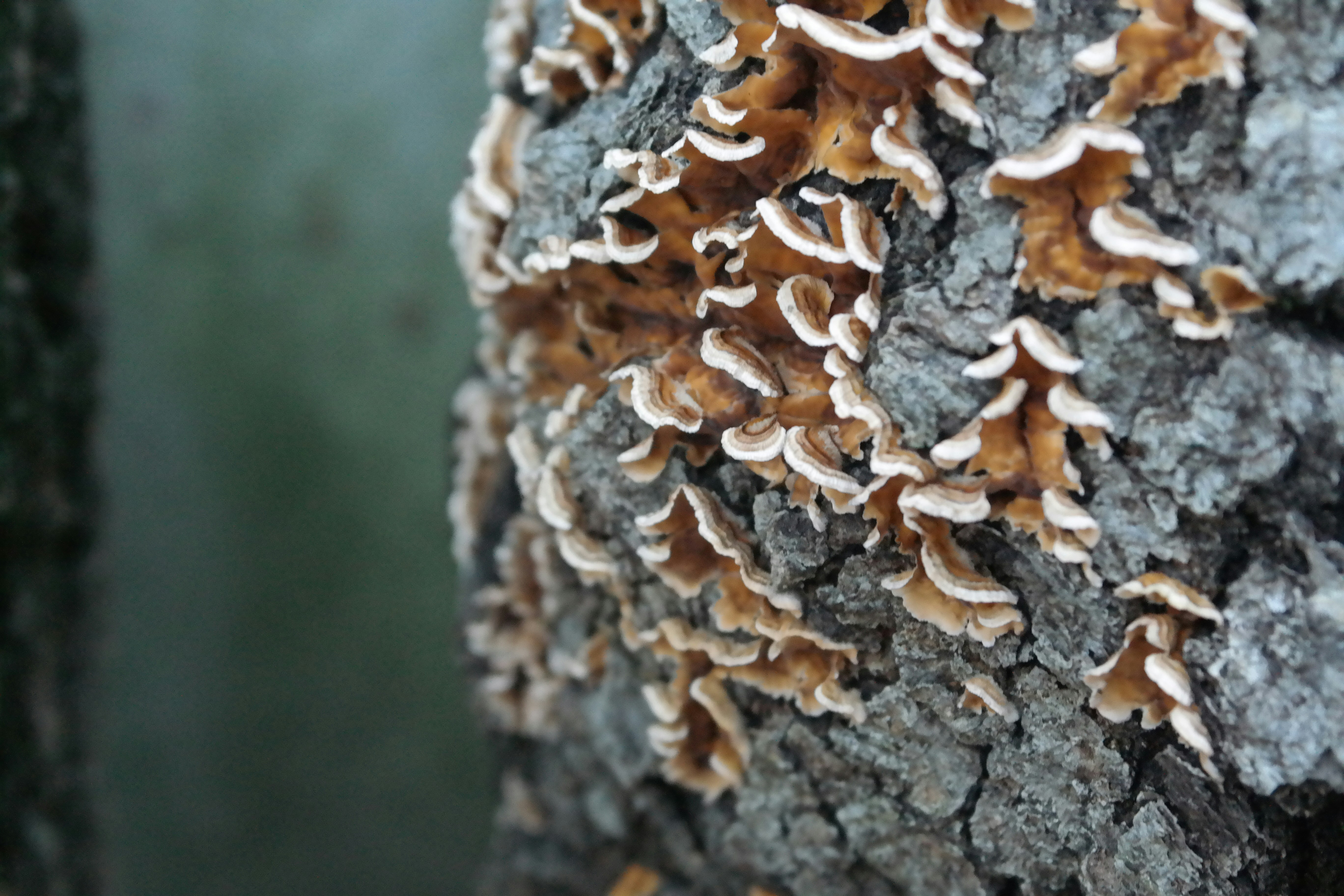 Free Unsplash photo from Katheryne Clark