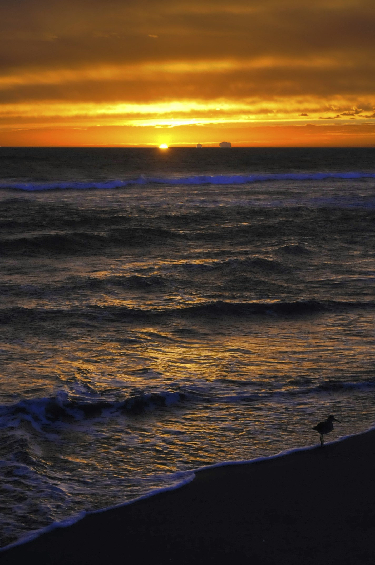 Free Unsplash photo from Andrew Mattingly