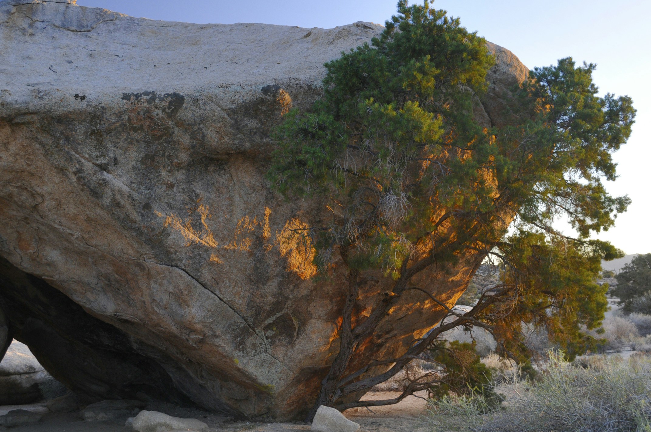 Free Unsplash photo from Andrew Mattingly