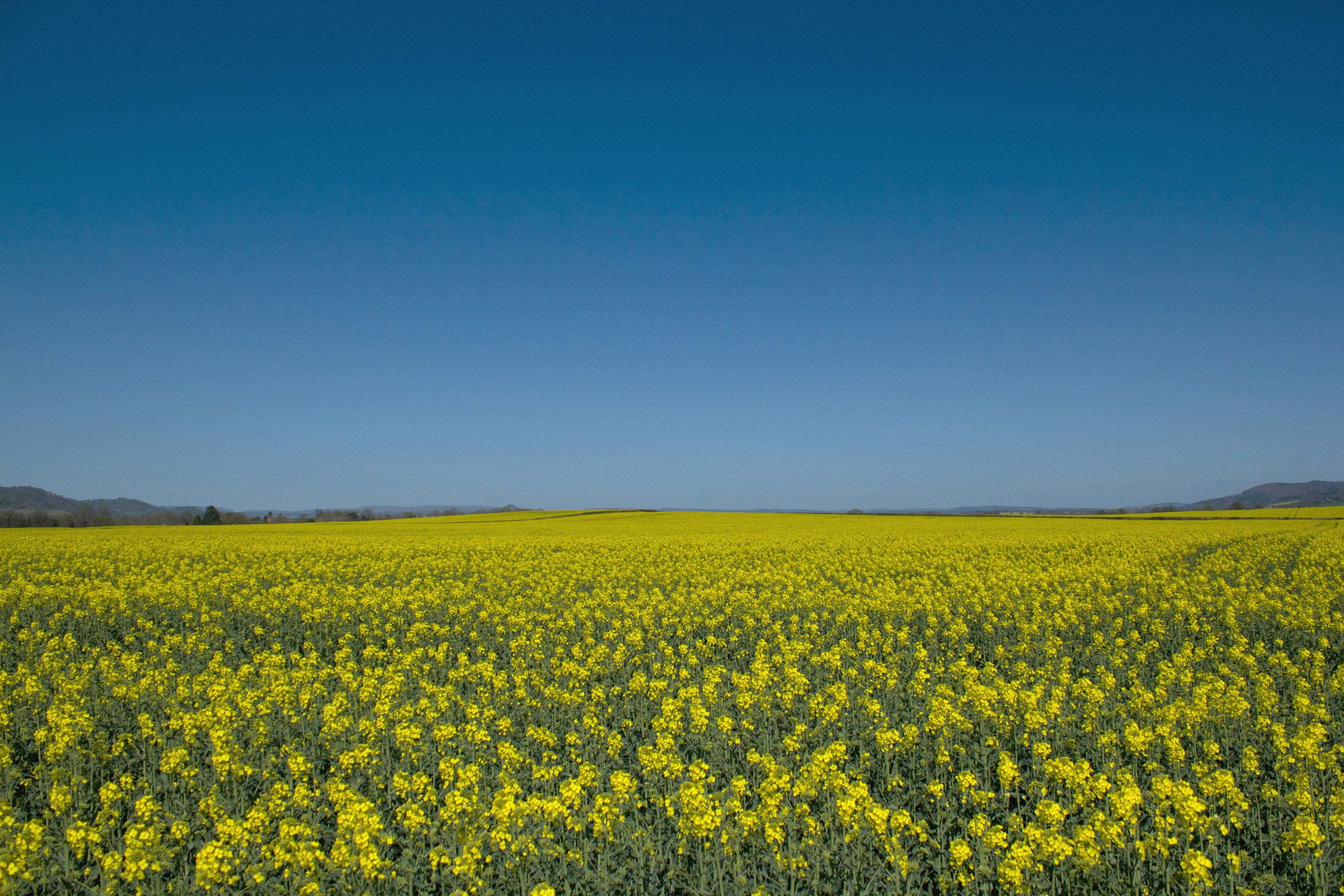 Free Unsplash photo from John Mark Arnold