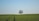 green grass field under blue sky