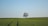 green grass field under blue sky
